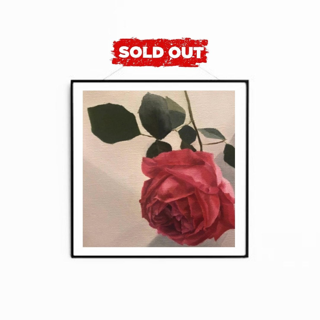 Velith Rose | The Bloom That Learned Silence